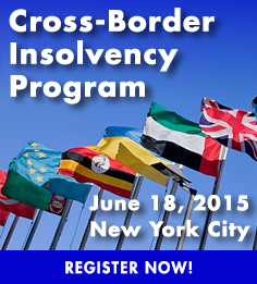 Cross-Border Insolvency Program